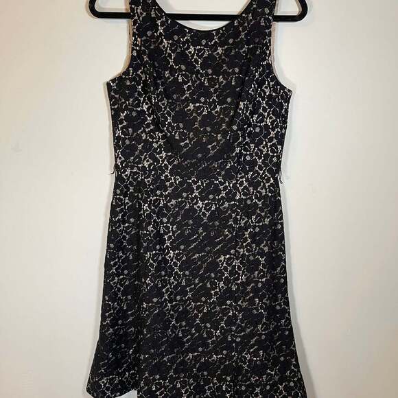 White House Black Market Velvet Lace Brocade Mini Dress Size 6 Fit & Flare - Picture 1 of 7